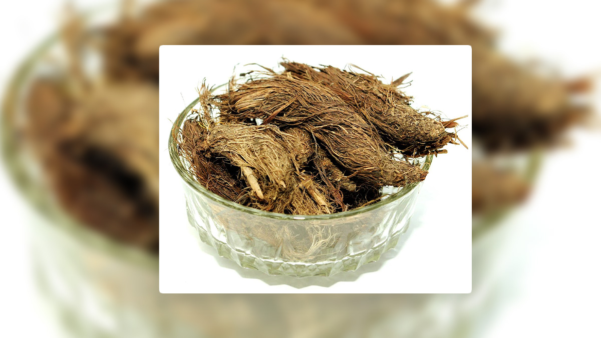 Kidney Stone Pain relief herb