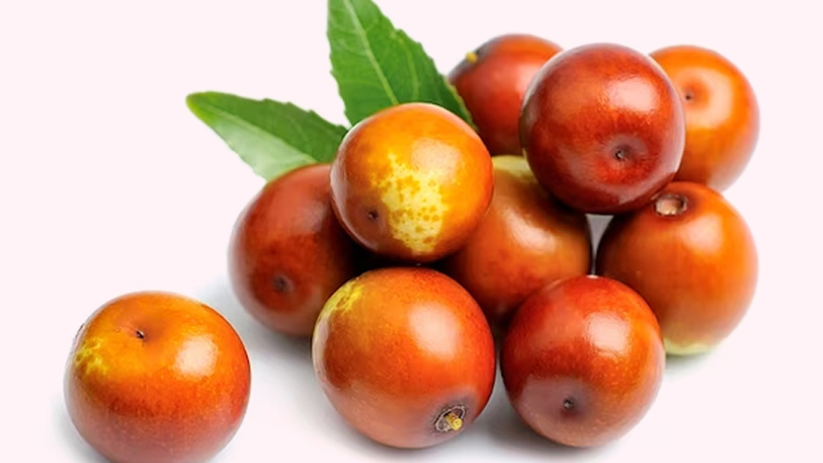 jujube fruit benefits