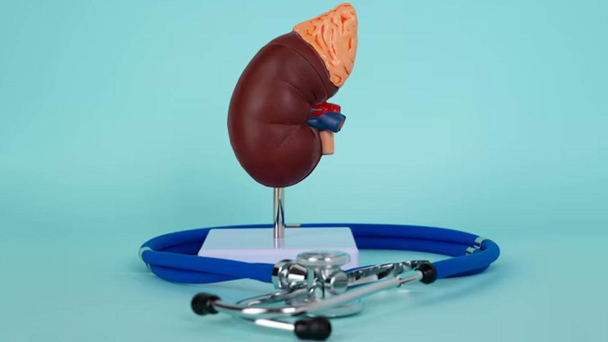 Kidney-Disease-and-Weight-Gain-inside