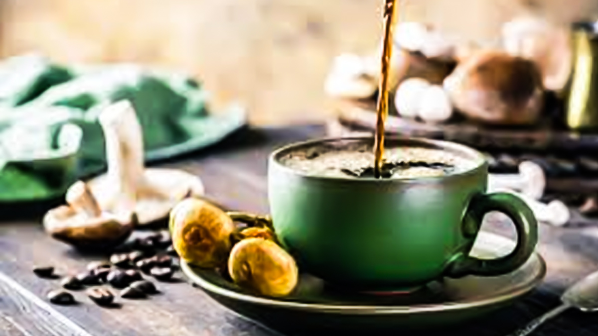 mushroom-Coffee-main-inside