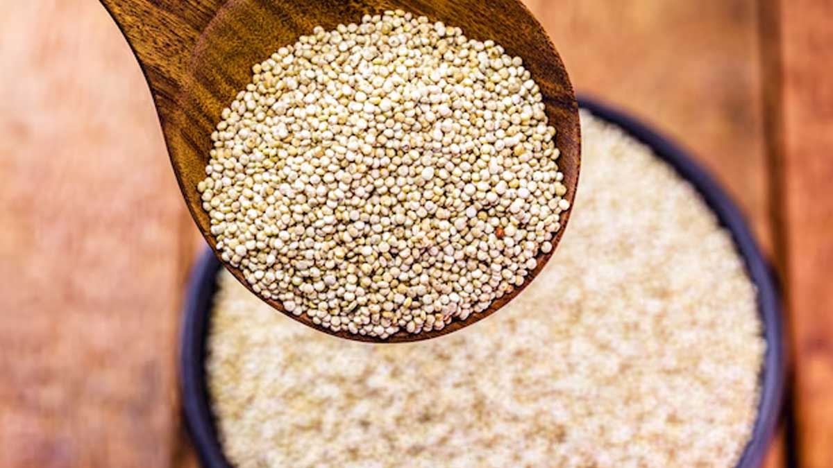 01 - 2025-02-01T120054.107