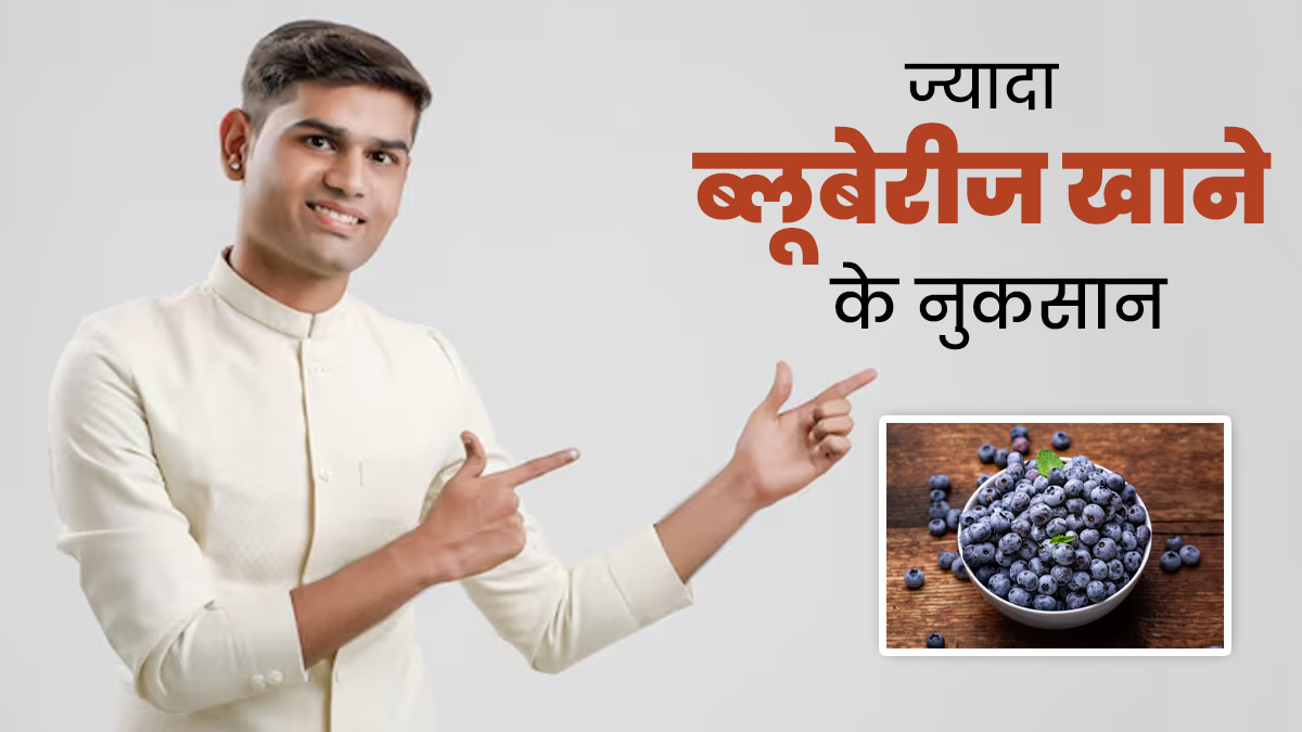 ज्यादा ब्लूबेरीज खाने के हो सकते हैं ये 5 नुकसान, जानें एक्सपर्ट से