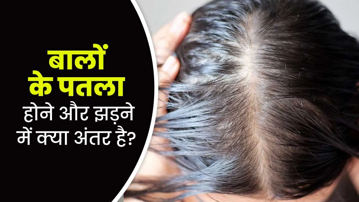 बालों के पतले होने और झड़ने में होता है अंतर, कारण और लक्षण से समझें फर्क