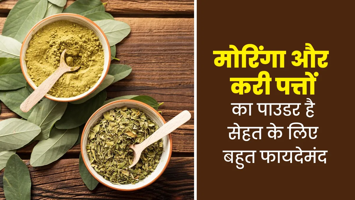 मोरिंगा और करी पत्तों का पाउडर है सेहत के लिए बहुत फायदेमंद, जानें इस्तेमाल का तरीका