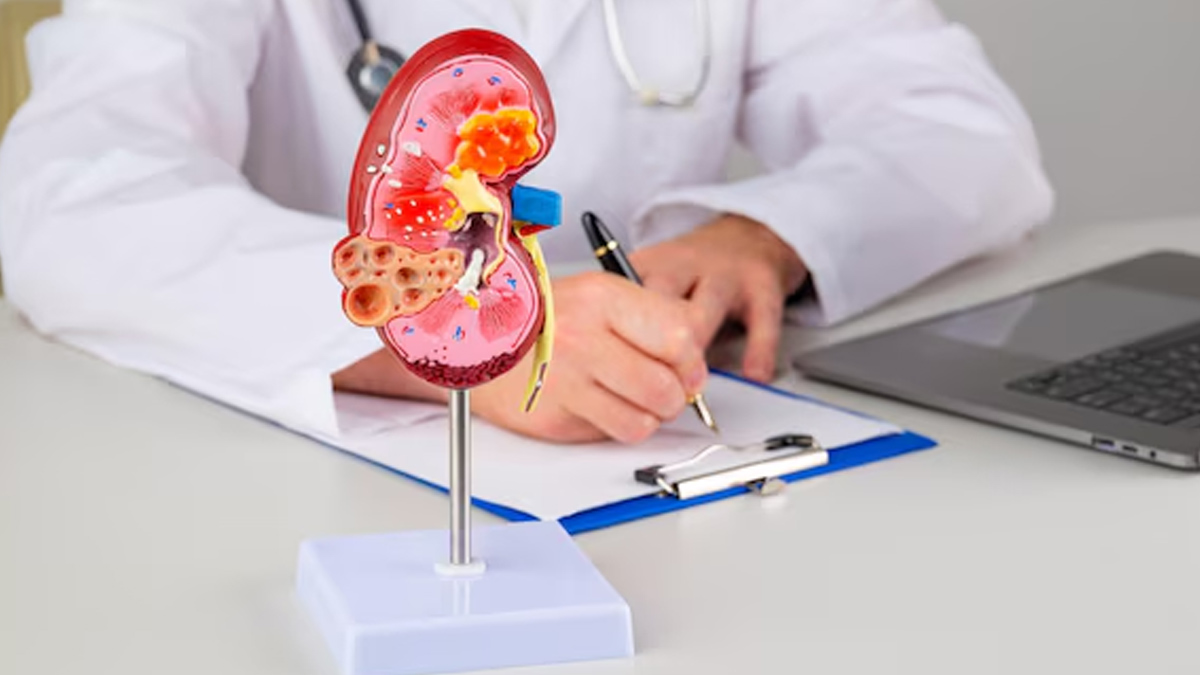 how to get rid of kidney infection in pregnancy 01