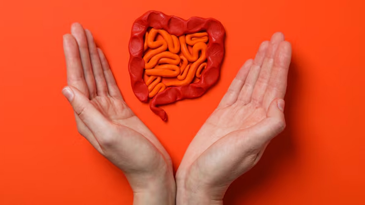 Can-gut-health-increase-cancer-risk-inside