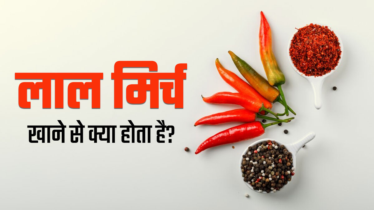 लाल मिर्च खाने से शरीर पर क्या प्रभाव पड़ता है? जानें एक्सपर्ट से