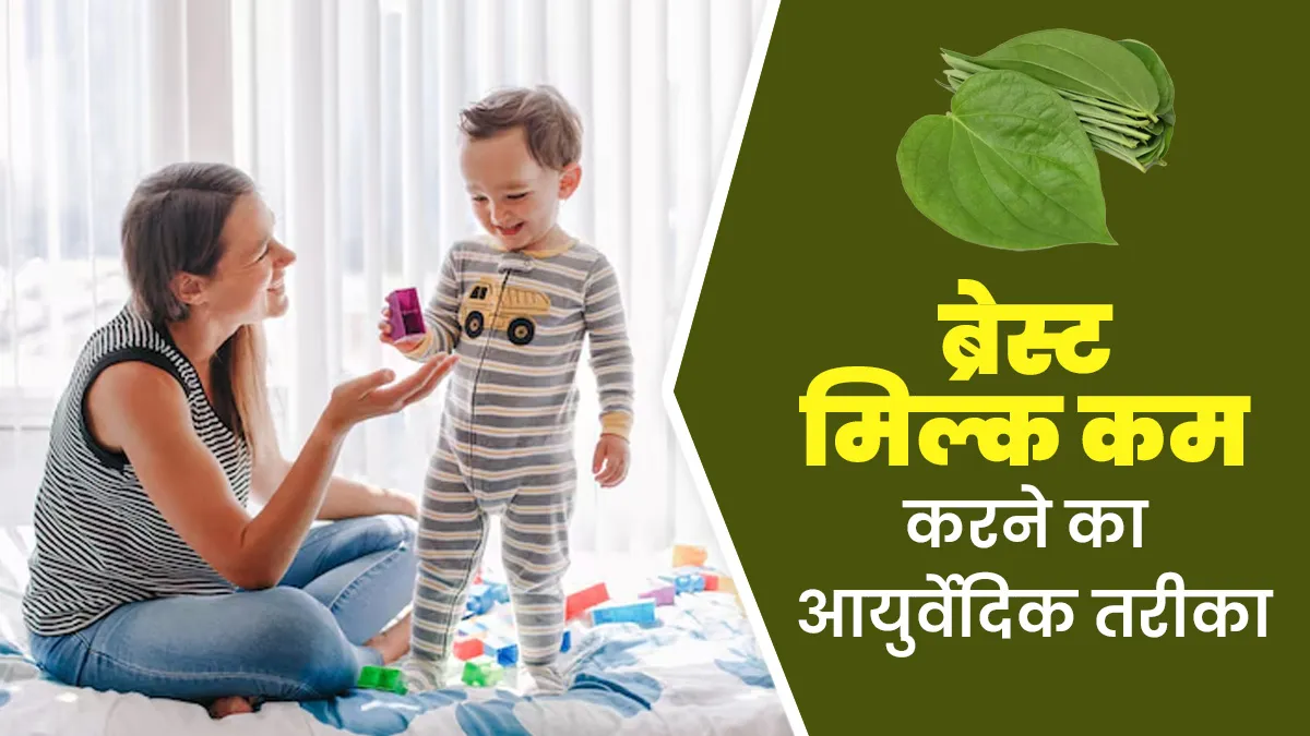 ब्रेस्ट मिल्क ज्यादा बनने से हैं परेशान तो इस्तेमाल करें पान का पत्ता, आयुर्वेदाचार्य से जानें तरीका