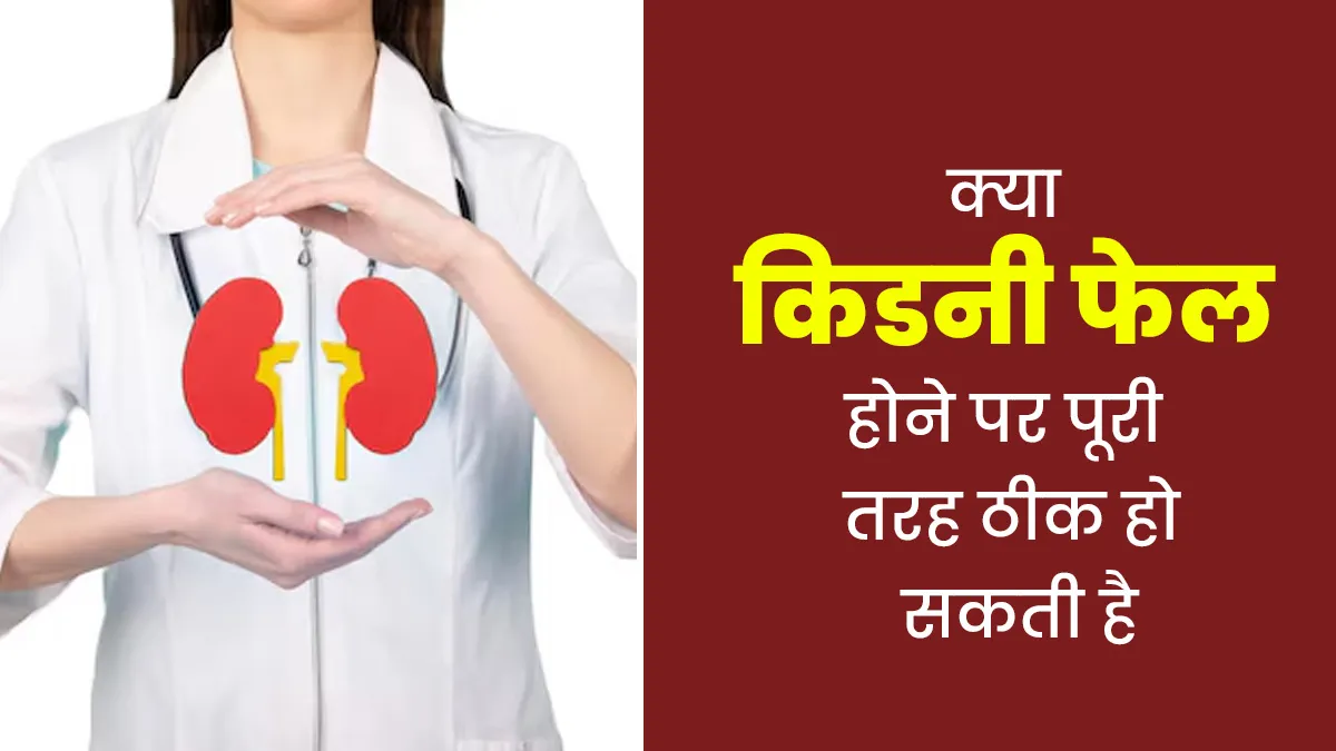 क्या किडनी फेल होने पर दोबारा पूरी तरह ठीक हो सकते हैं? जानें क्या कहते हैं डॉक्टर