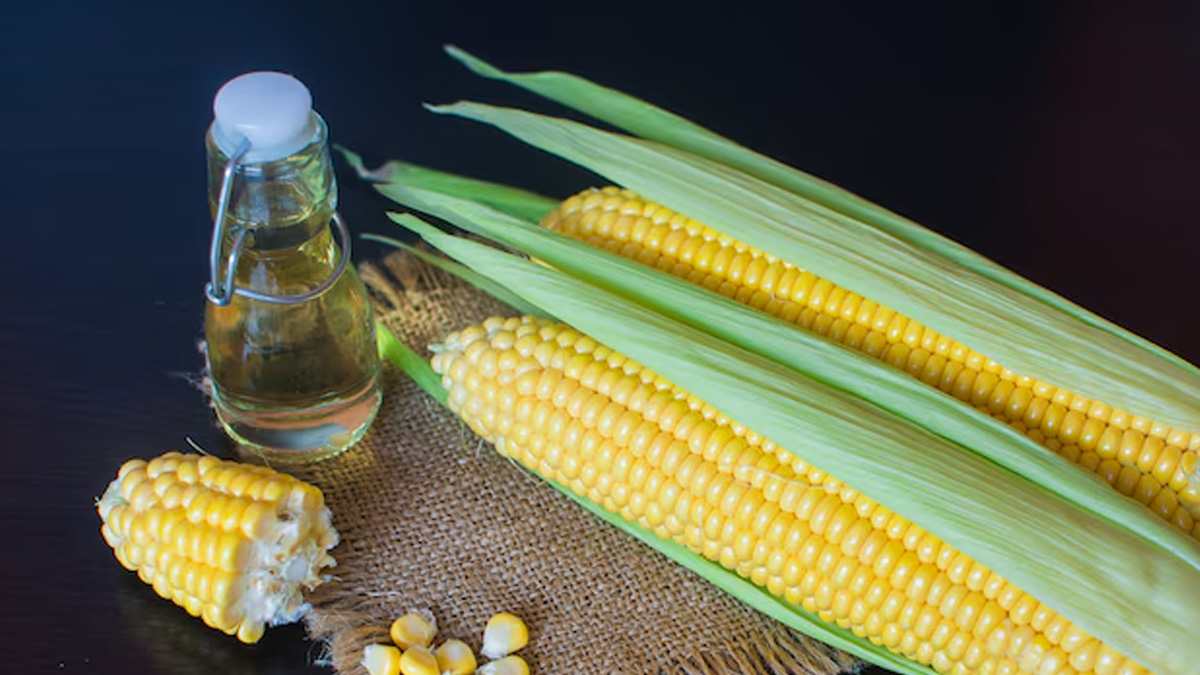 01 - 2025-02-06T172226.460