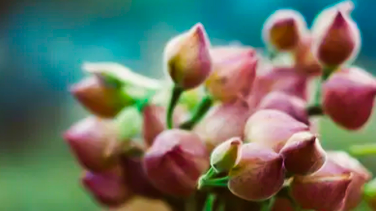 cardiorespiratory-endurance-causes-how-to-improve-in