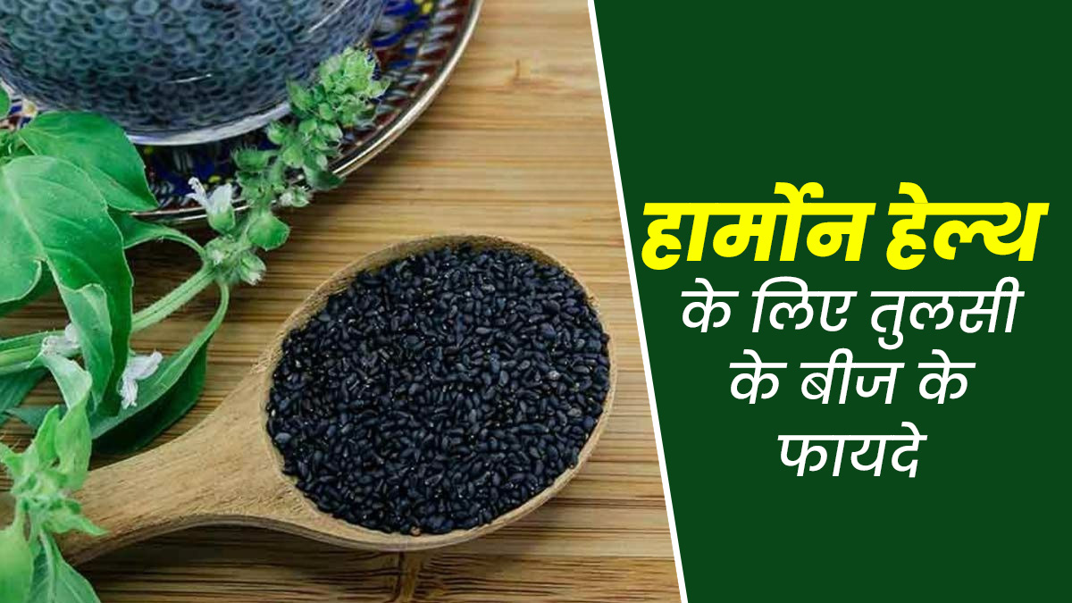 हार्मोनल समस्याएं दूर करने में फायदेमंद हो सकते हैं तुलसी के बीज, एक्सपर्ट से जानें इस्तेमाल का तरीका