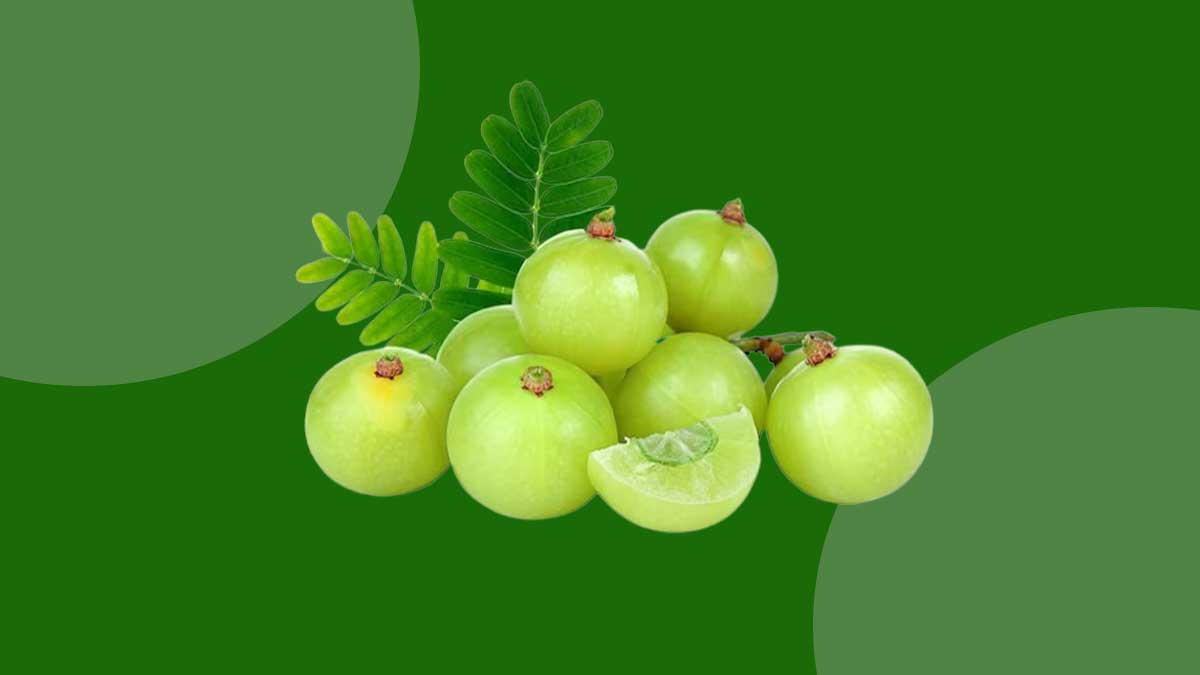 Amla Chyawanprash Benefits