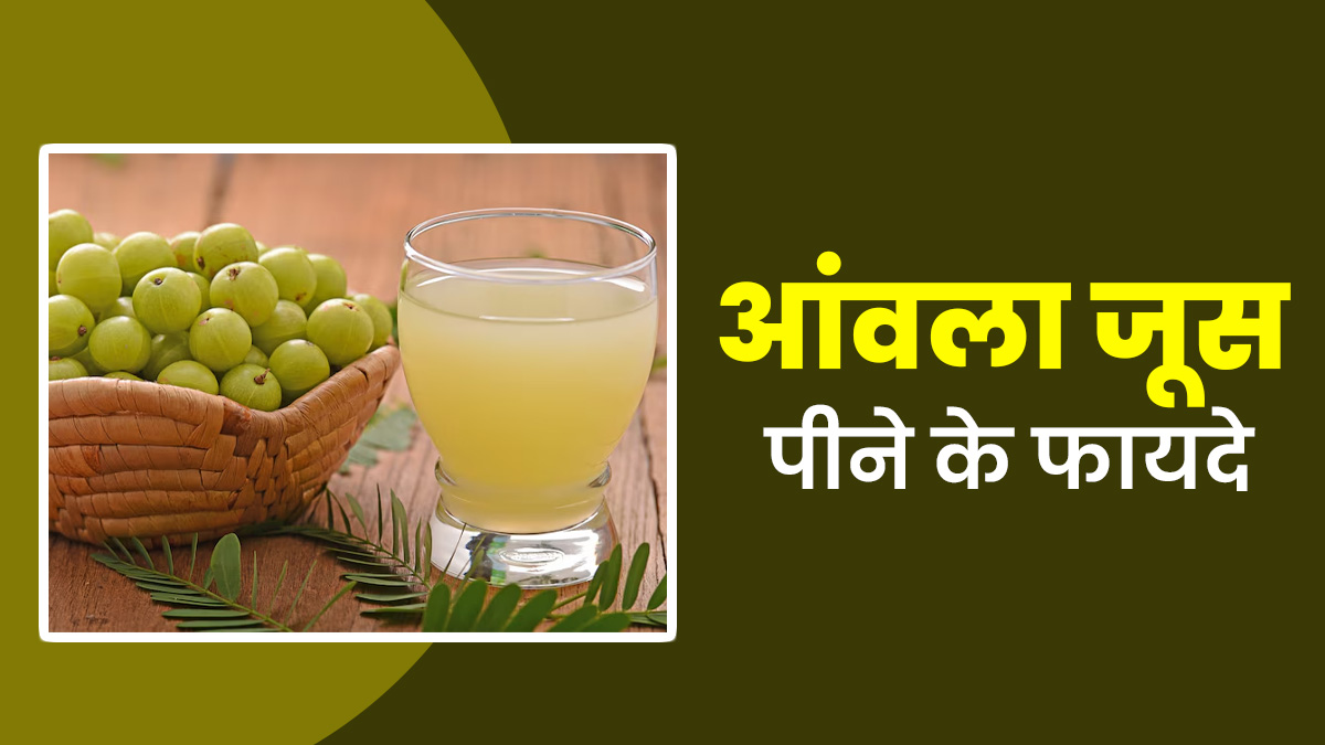 फिटनेस फ्रीक्स के लिए नेचुरल एनर्जी बूस्टर है आंवला जूस, पीकर पाएं मजबूत मसल्‍स और स्टेमिना