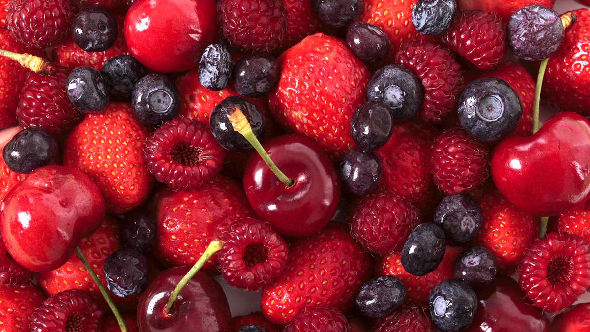 01 - 2025-02-09T163642.428