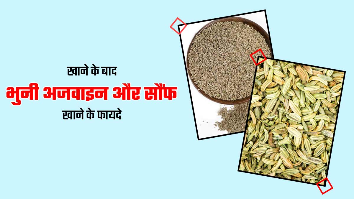 खाने के बाद भुनी अजवाइन और सौंफ खाने से सेहत को मिलते हैं ये 5 फायदे