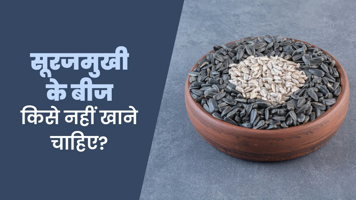 सूरजमुखी के बीज किसे नहीं खाने चाहिए? आयुर्वेदाचार्य से जानें