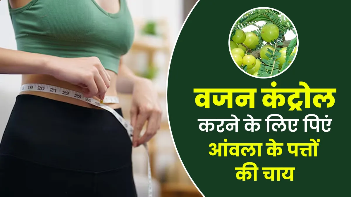 आंवला के पत्तों की चाय से करें वजन को कंट्रोल, जानें फायदे और बनाने का तरीका
