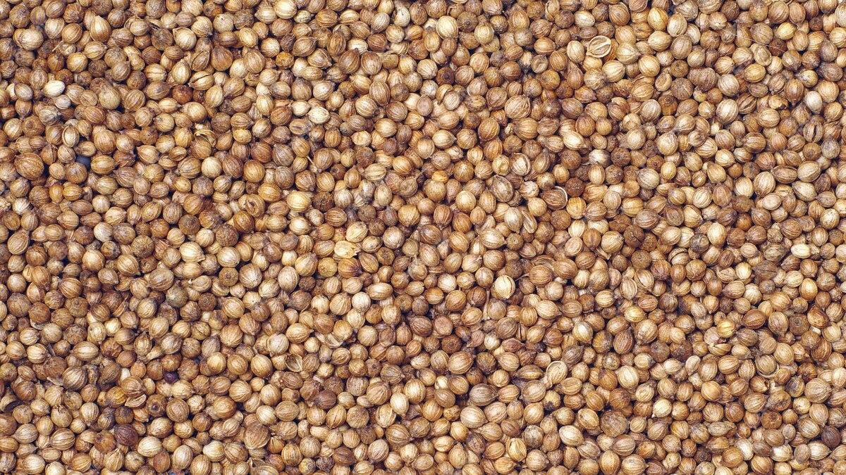 Who Should Avoid Coriander Seed Water