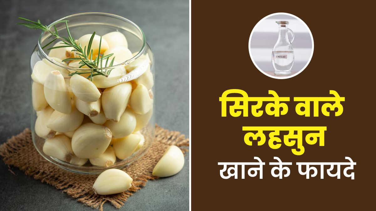 सिरके वाला लहसुन खाने से ये 6 समस्याएं होंगी दूर, डायटीशियन से जानें