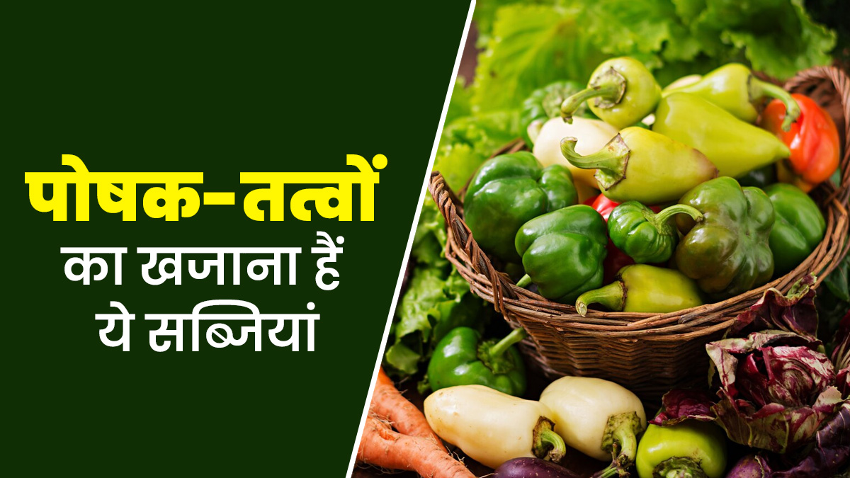 पोषक-तत्वों का खजाना होती हैं ये 8 सब्जियां, एक्सपर्ट से जानें इनके फायदे