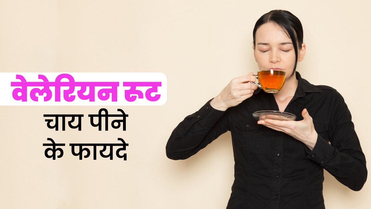 वैलेरियन रूट चाय पीने से सेहत को मिलते हैं ये 5 जबरदस्त फायदे, एक्सपर्ट से जानें बनाने की रेसिपी