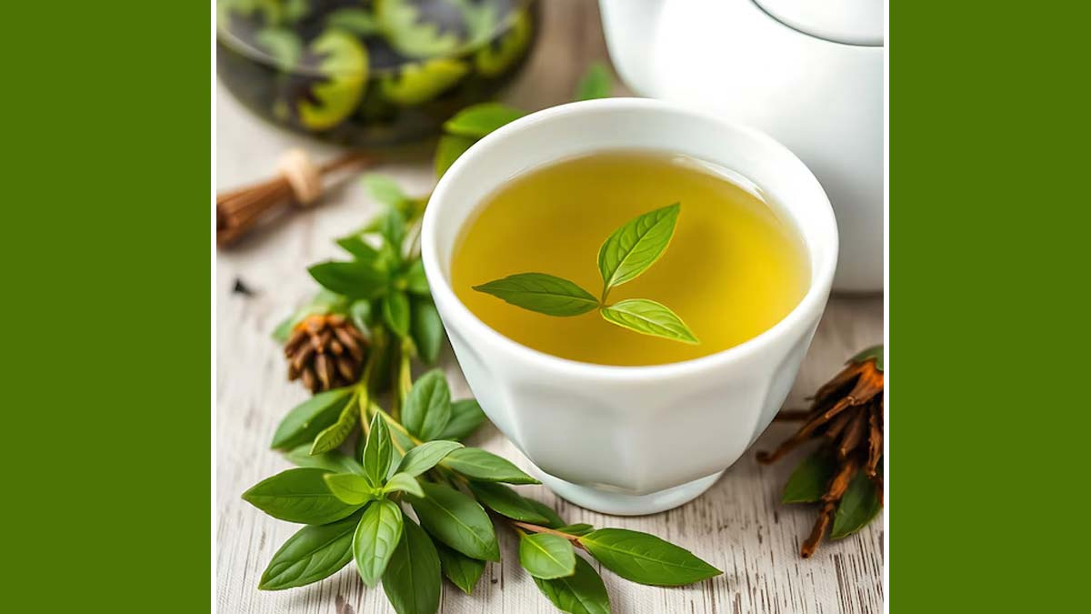 01 - 2025-02-11T155646.440