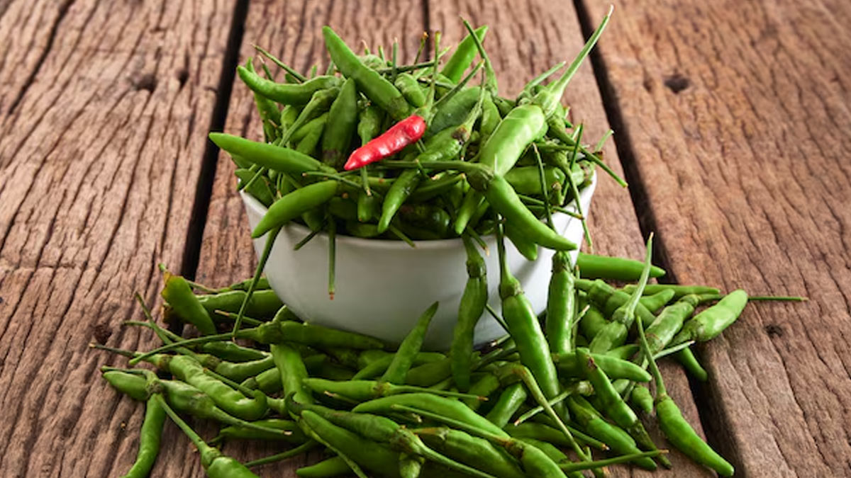 Green Chilli in diabetes