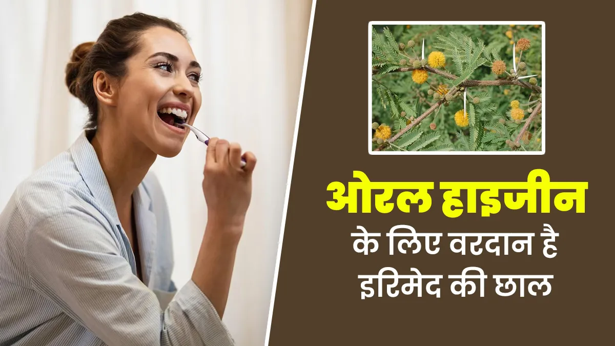 मुंह की कई समस्याएं दूर करती है इरिमेद की छाल, जानें फायदे और इस्तेमाल का सही तरीका