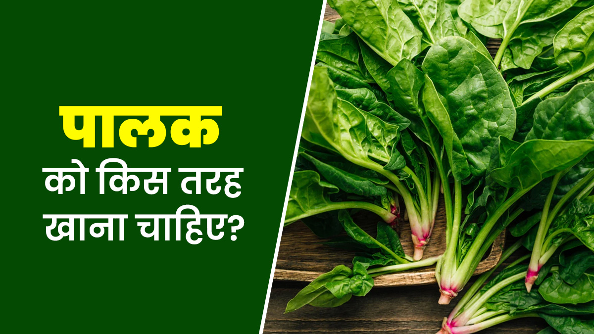 कहीं आप भी तो नहीं कर रहे पालक के पोषक-तत्वों को बर्बाद? एक्सपर्ट से जानें खाने का सही तरीका