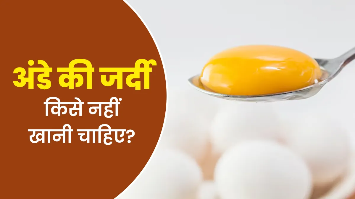 अंडे की जर्दी किसे नहीं खानी चाहिए? एक्सपर्ट से जानें