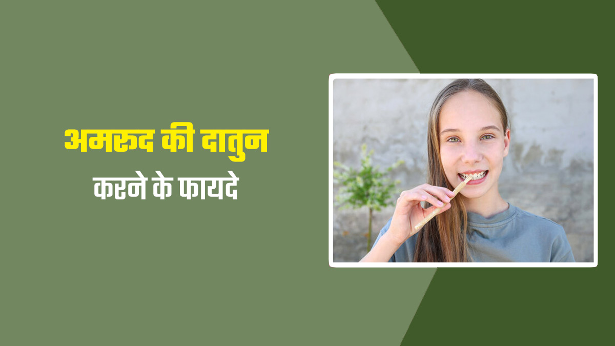 दांतों की मजबूती और सफाई के ल‍िए फायदेमंद है अमरूद की दातुन, जानें इस्‍तेमाल का तरीका