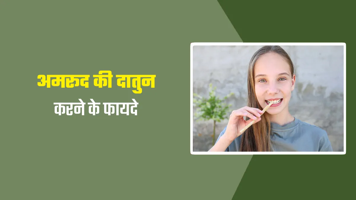 दांतों की मजबूती और सफाई के ल‍िए फायदेमंद है अमरूद की दातुन, जानें इस्‍तेमाल का तरीका