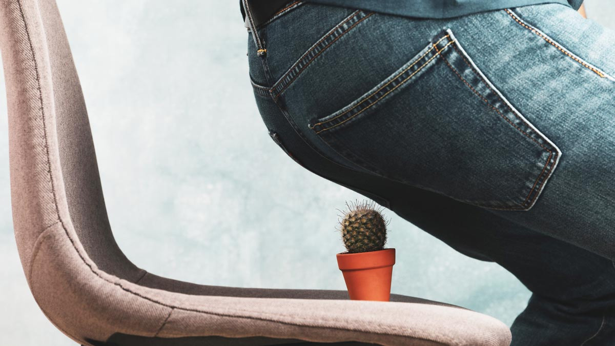 01 - 2025-02-13T130144.429