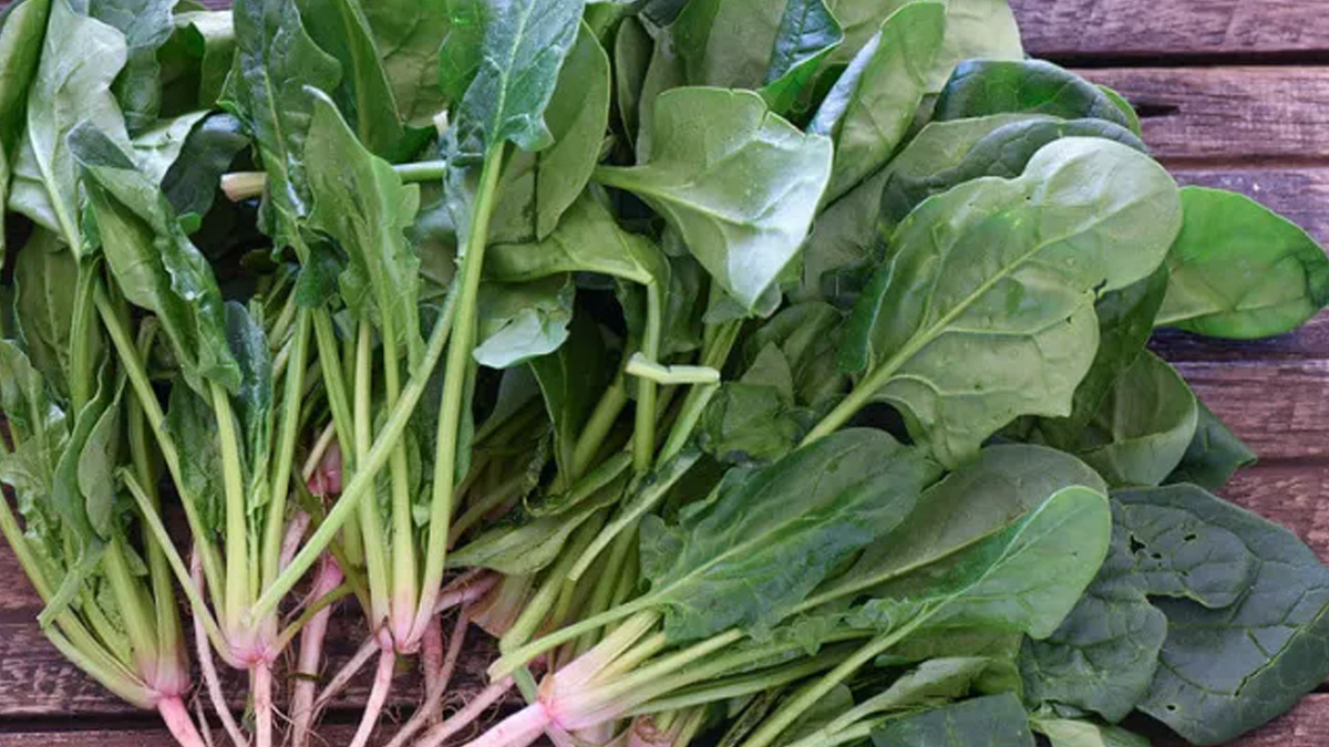 spinach