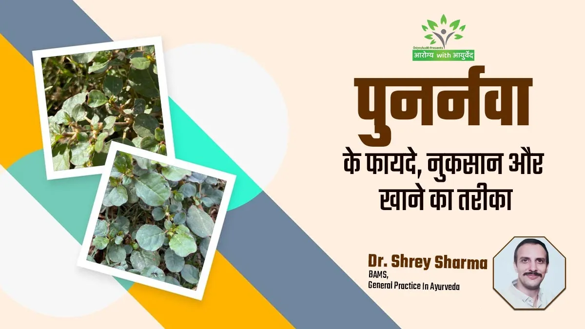 Arogya with Ayurveda: सेहत के लिए फायदेमंद होता है पुनर्नवा, जानें फायदे, नुकसान और सेवन का तरीका