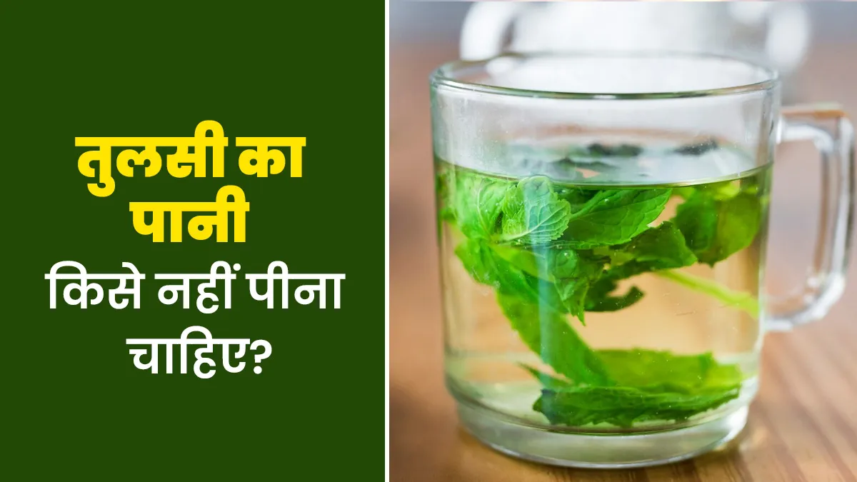 तुलसी का पानी किसे नहीं पीना चाहिए? आयुर्वेदाचार्य से जानें