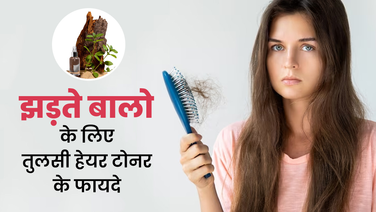 झड़ते बालों की समस्या दूर करेगा तुलसी से बना ये हेयर टोनर, जानें बनाने और इस्तेमाल का तरीका