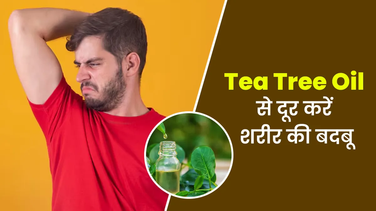 शरीर की दुर्गंध को छुटक‍ियों में दूर करता है Tea Tree Oil, जानें इस्‍तेमाल का सही तरीका