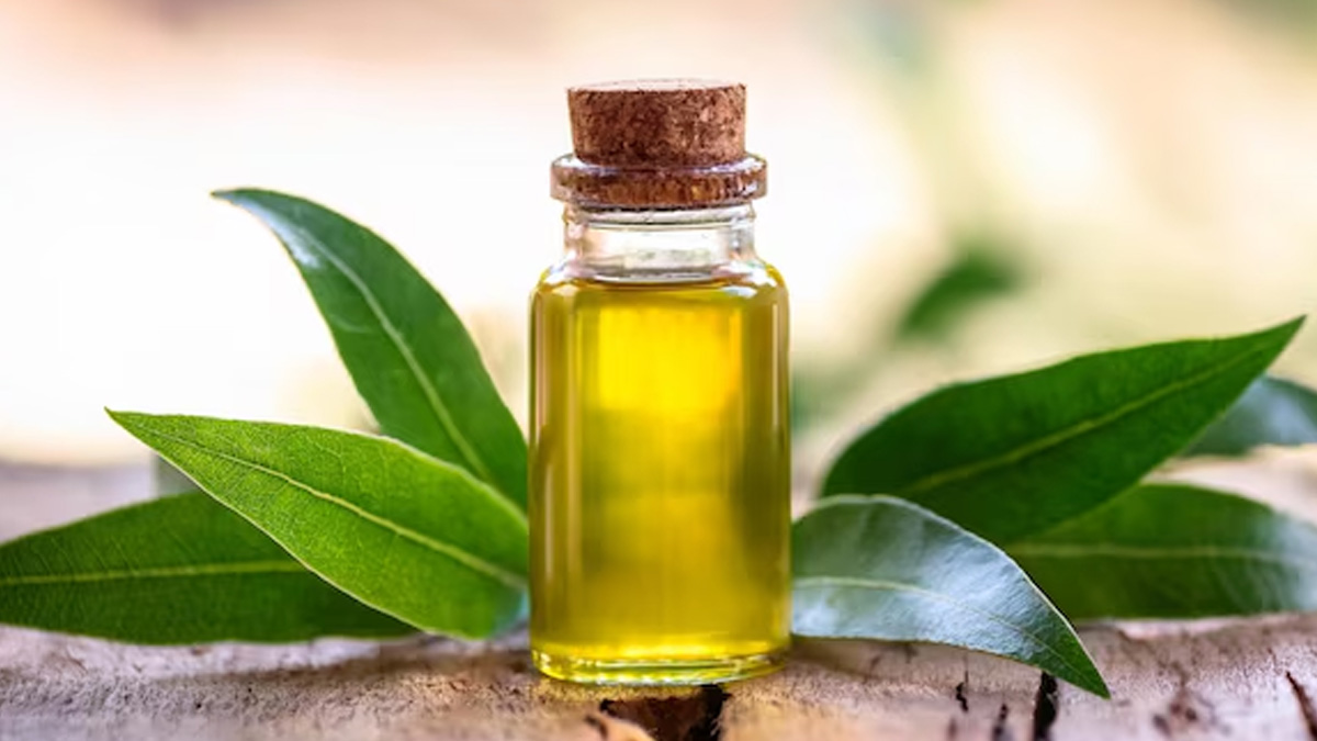 tea-tree-oil-for-body-odor