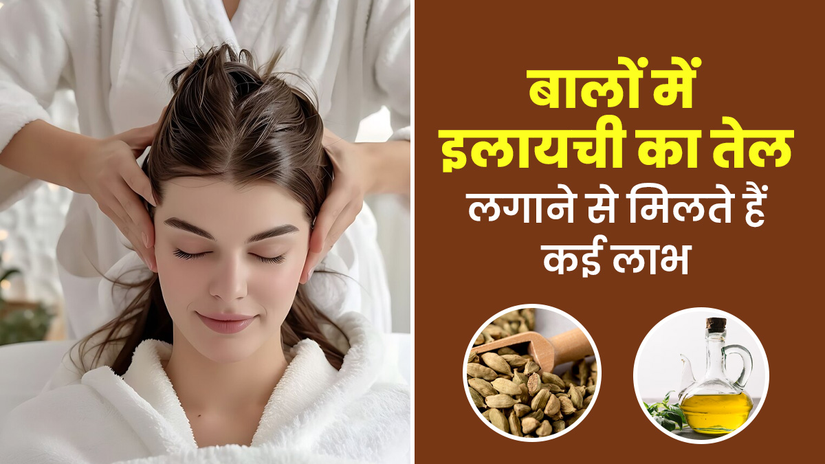 इलायची का तेल से बालों को मिलते हैं ये 6 फायदे, इस तरह करें इस्तेमाल