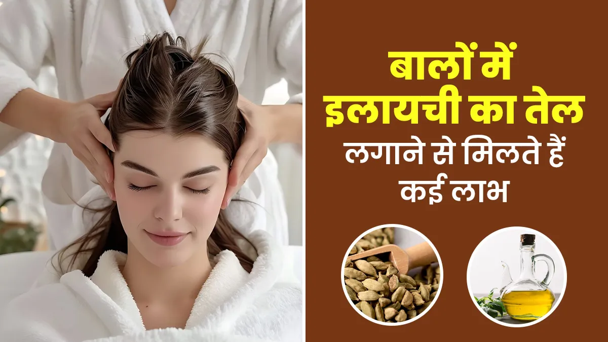 इलायची का तेल से बालों को मिलते हैं ये 6 फायदे, इस तरह करें इस्तेमाल