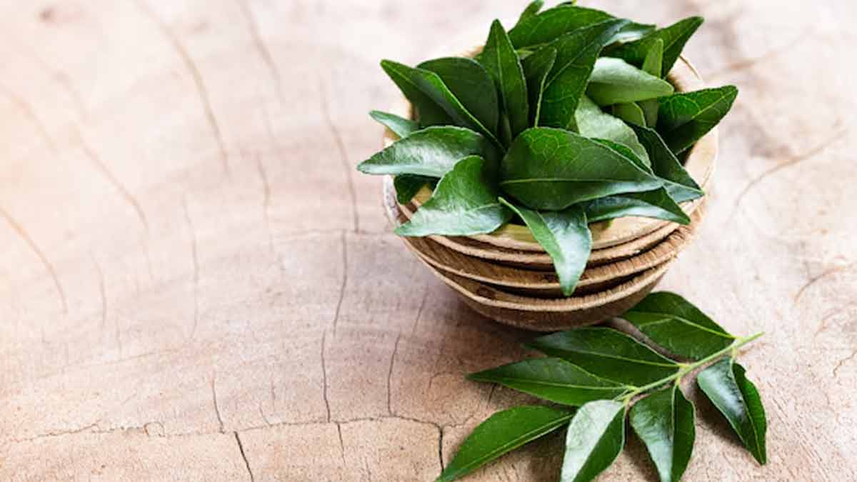 Who Should Avoid Curry Leaves