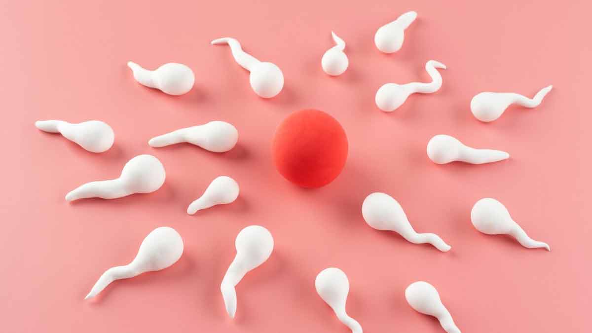 How To Improve Sperm Quality Naturally In Hindi how-to-improve-sperm-quality-in