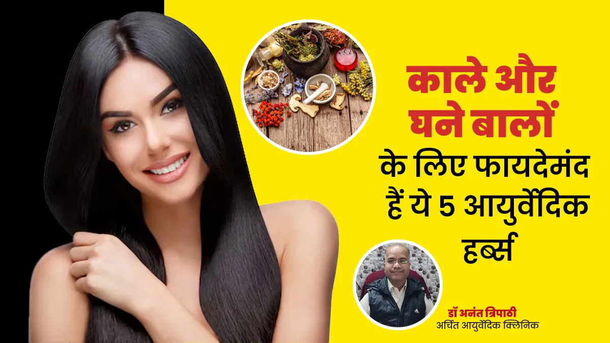 काले-घने बालों के लिए फायदेमंद हैं ये 5 हर्ब्स, आयुर्वेदाचार्य से जानें प्रयोग का तरीका