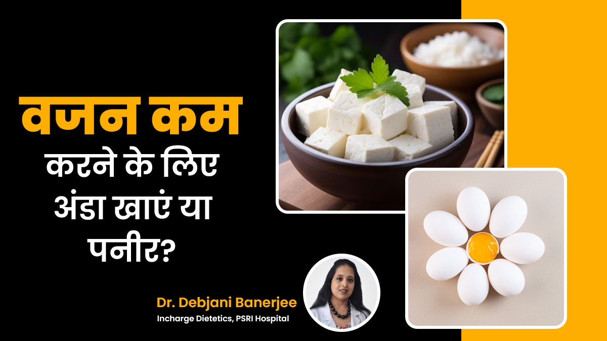 वजन कम करने के लिए अंडा खाएं या पनीर? एक्सपर्ट से जानिए प्रोटीन का बेस्ट सोर्स