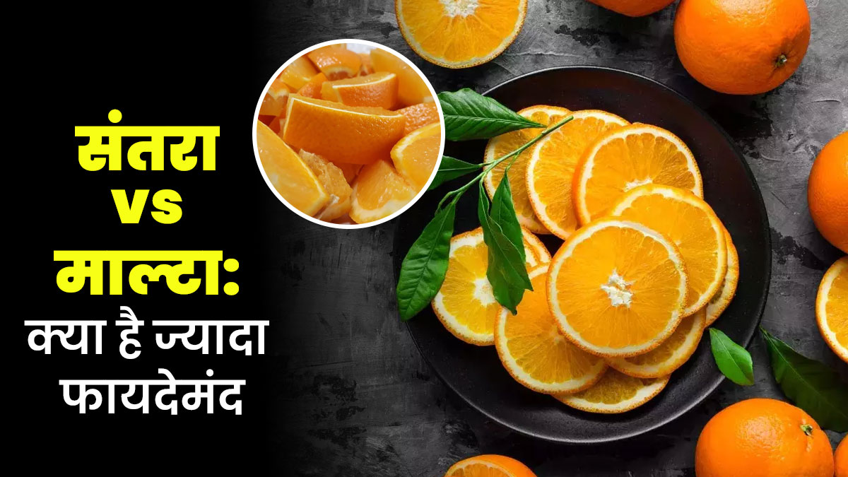 संतरा vs माल्टा : डाइटिशियन से जानें सेहत के लिए क्या है ज्यादा फायदेमंद