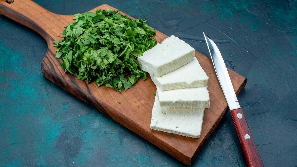 Best source of protein for weight loss