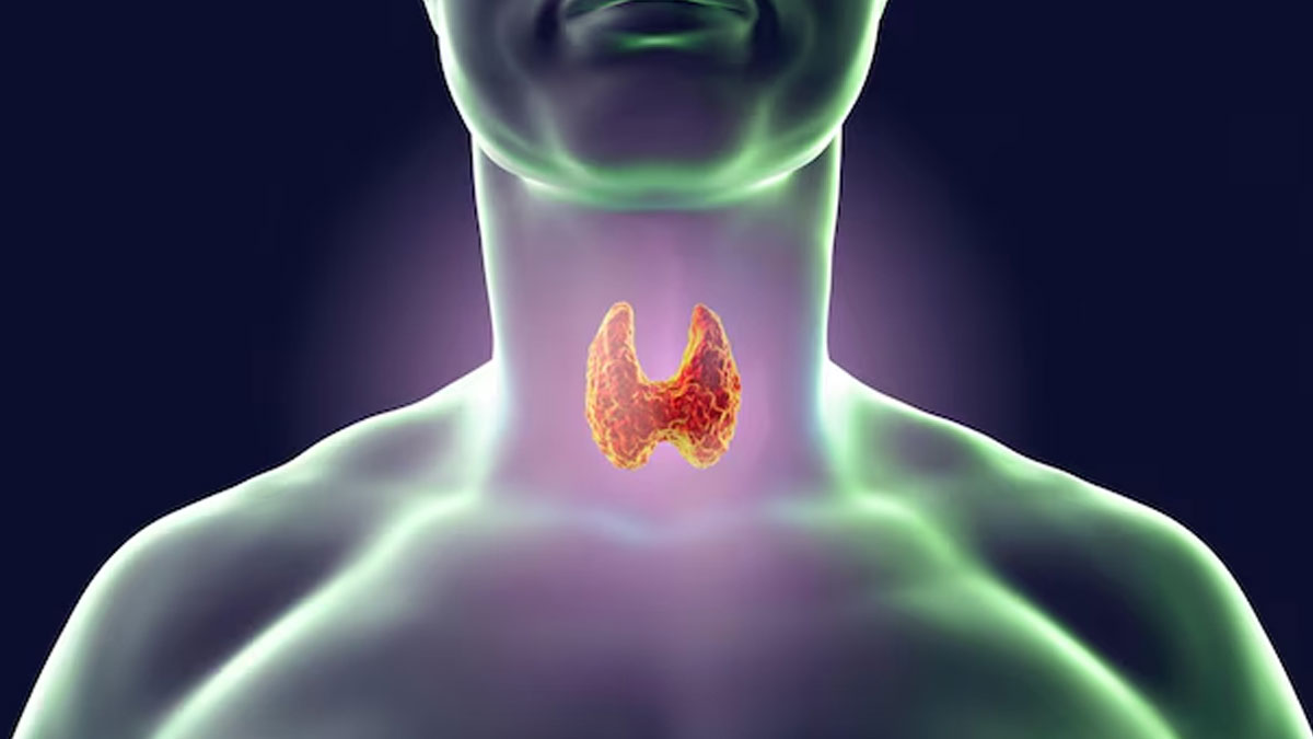 थायराइड के रोगी रोजाना सुबह पिएं इन 5 चीजों से बनीं ड्रिंक, मिलेगा आराम | thyroid reversal tea recipe and benefits in hindi thyroid-reversal-tea-recipe-and-benefits-inside2