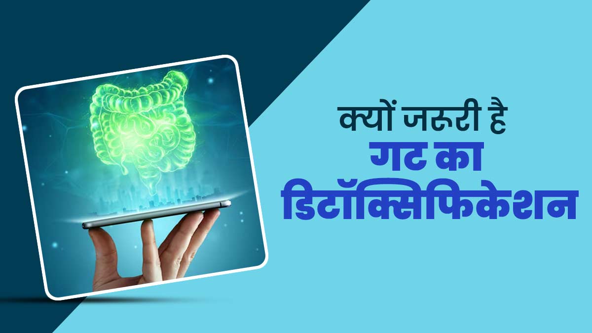 क्यों जरूरी है गट का डिटॉक्सिफिकेशन? जानें इसे घर पर करने का सही तरीका